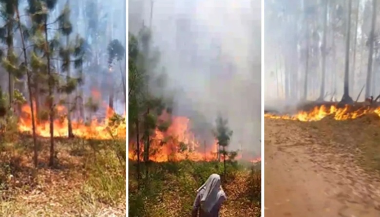 Más de 500 hectáreas incendiadas en Concordia y focos que siguen activos