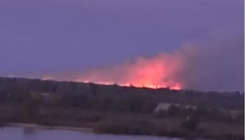 Preocupación por tres focos de incendios en el Delta del Paraná