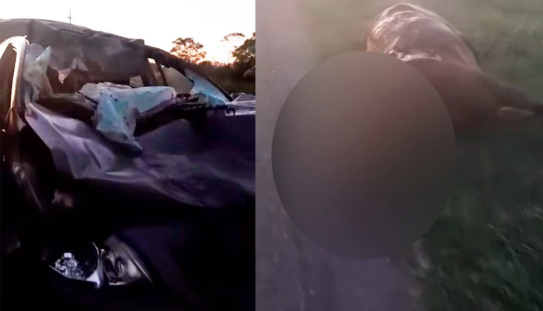 Cinco heridos leves tras chocar contra un caballo cuando viajaban hacia Libertador San Martín