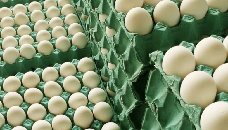 Entre Ríos exportará huevos a la Unión Europea con arancel cero