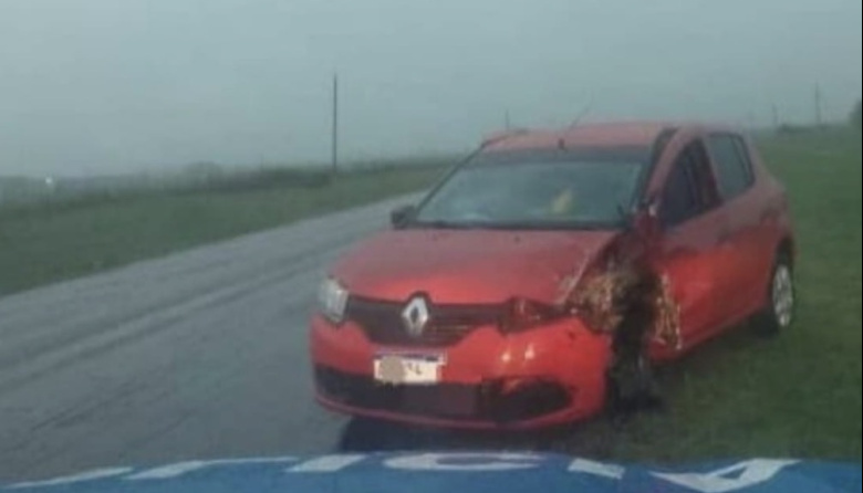 Siniestro vial sobre Ruta Nacional 12 dejó un conductor con lesiones leves