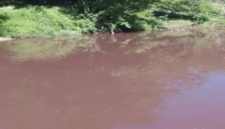 Un estudio científico encendió las alarmas por la contaminación de cuatro arroyos entrerrianos