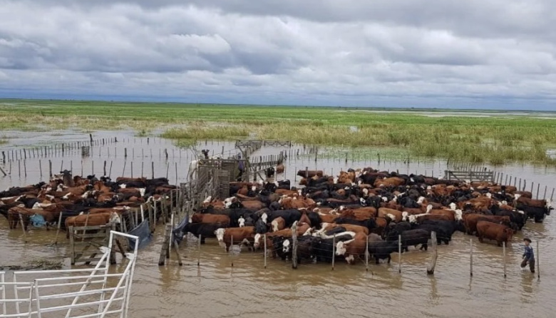 La OMM advirtió que El Niño alcanzará su punto máximo en diciembre