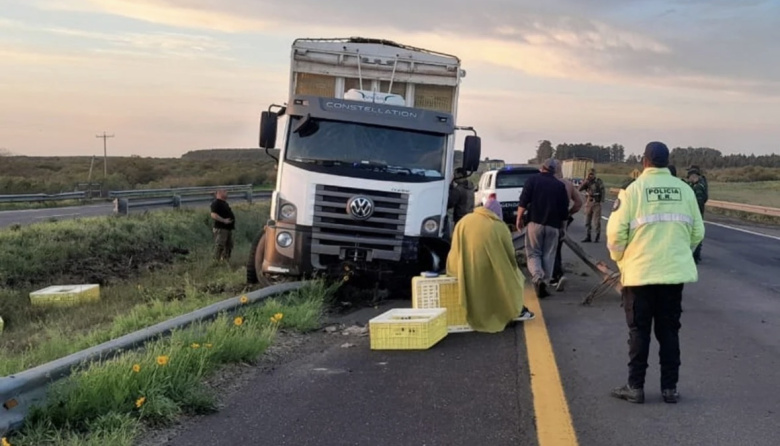 Un camión esquivó un ciervo en la Autovía 14 y despistó