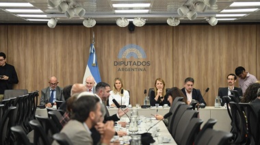 Diputados consiguieron dictamen para el proyecto que baja la edad de imputabilidad a los 14 años