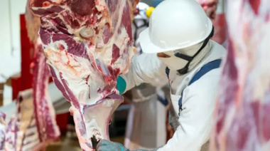 Nación oficializó también la quita de retenciones a las carnes bovinas y avícolas