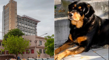 Viale,niña atacada por perro: sufrió severas mordeduras en rostro, cabeza y hombros