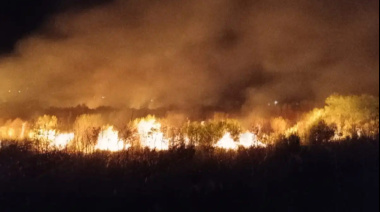 Incendio forestal de gran magnitud en la Reserva Natural Tierra Chaná
