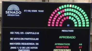 El Senado aprobó la reforma del Régimen Penal Juvenil y la edad de imputabilidad bajará a 14 años