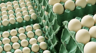Entre Ríos exportará huevos a la Unión Europea con arancel cero