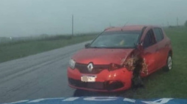 Siniestro vial sobre Ruta Nacional 12 dejó un conductor con lesiones leves