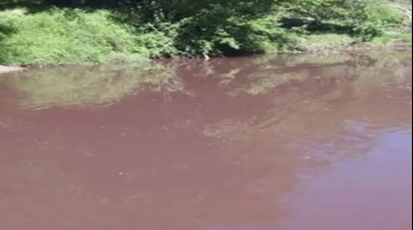 Un estudio científico encendió las alarmas por la contaminación de cuatro arroyos entrerrianos