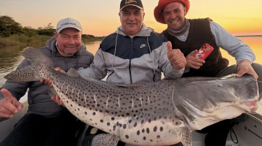 Capturaron un surubí de más de 40 kilos y lo devolvieron al río Paraná