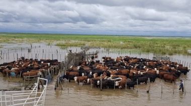 La OMM advirtió que El Niño alcanzará su punto máximo en diciembre