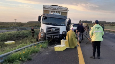 Un camión esquivó un ciervo en la Autovía 14 y despistó