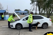 Una joven de Libertador San Martín fue interceptada cuando intentaba viajar a Brasi