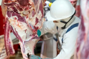 Nación oficializó también la quita de retenciones a las carnes bovinas y avícolas