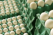 Entre Ríos exportará huevos a la Unión Europea con arancel cero