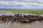 La OMM advirtió que El Niño alcanzará su punto máximo en diciembre