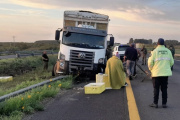 Un camión esquivó un ciervo en la Autovía 14 y despistó